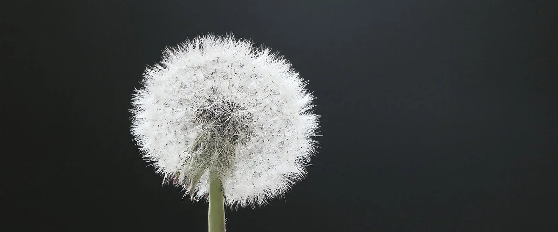 贝博体育PG电子